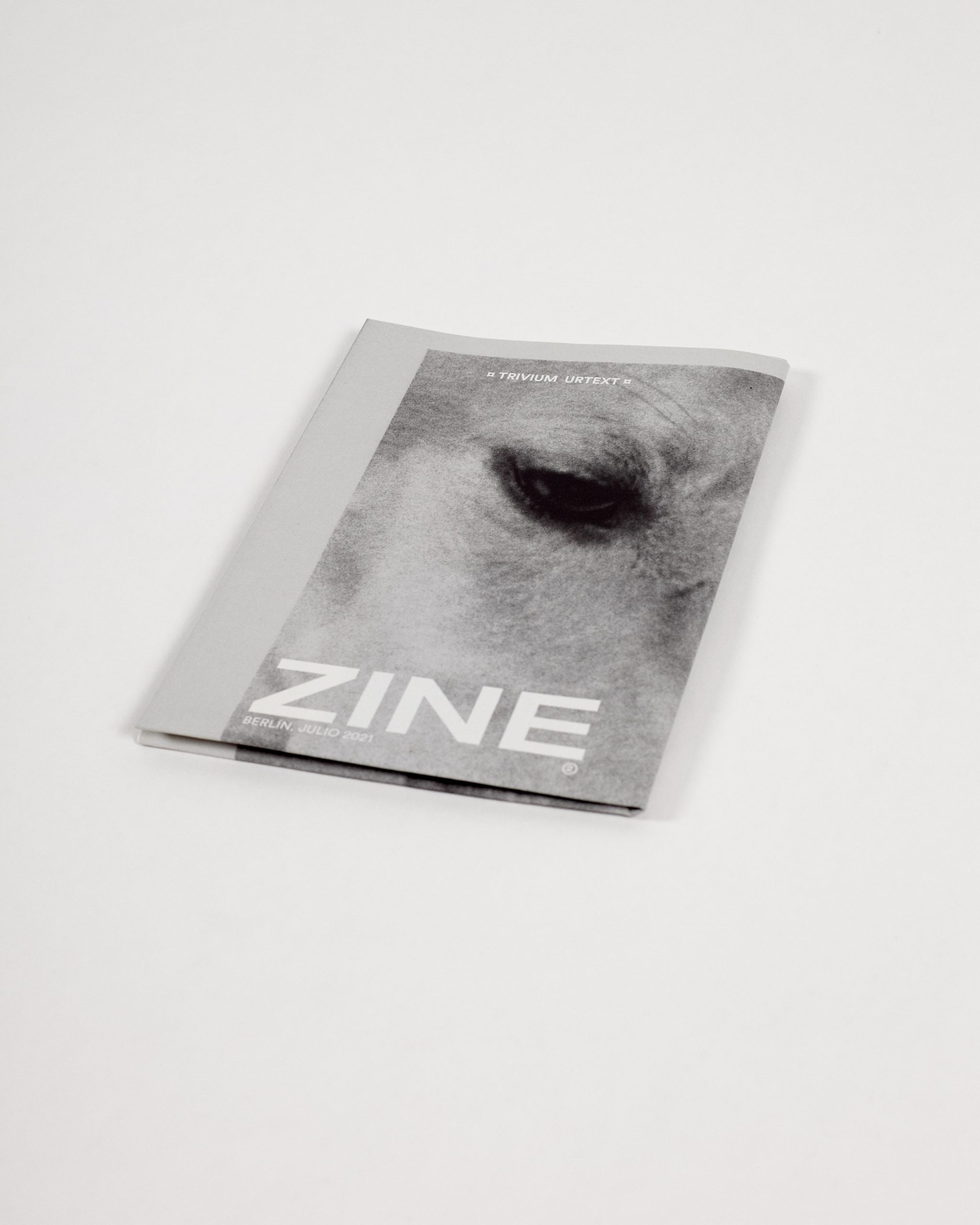 Zine