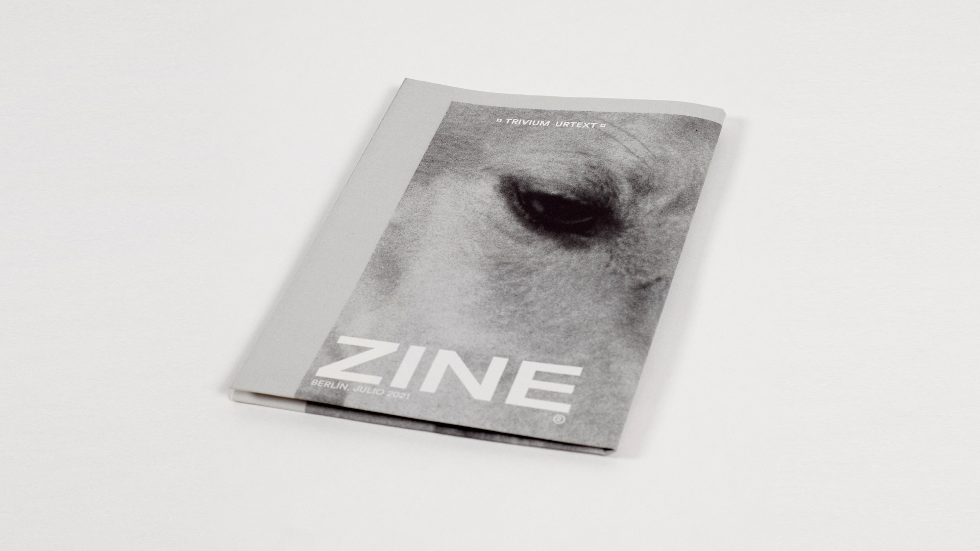 Zine
