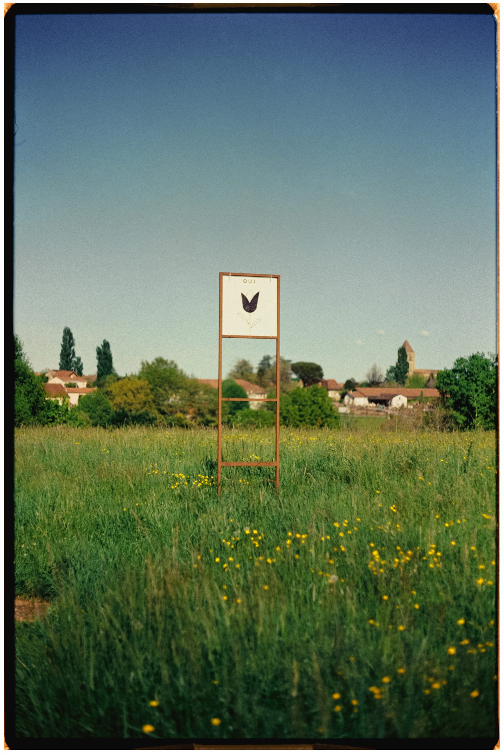 NON-OUI: Here are flowers